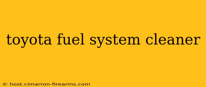 Toyota Fuel System Cleaner