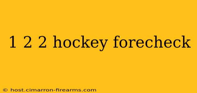 1 2 2 hockey forecheck