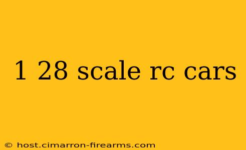 1 28 scale rc cars