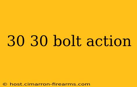 30 30 Bolt Action