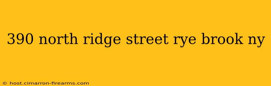390 north ridge street rye brook ny