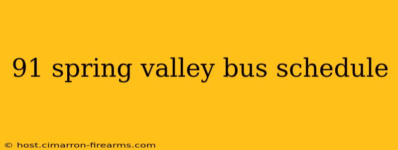 91 spring valley bus schedule