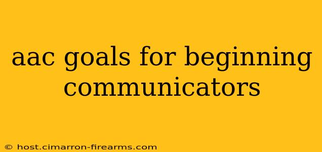 aac goals for beginning communicators