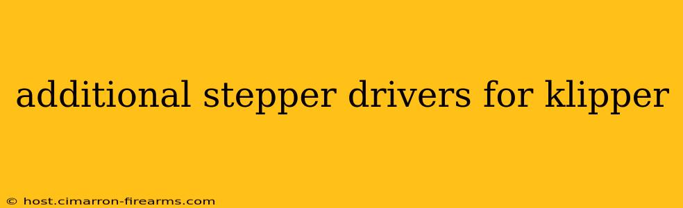 additional stepper drivers for klipper