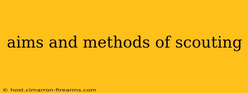 aims and methods of scouting