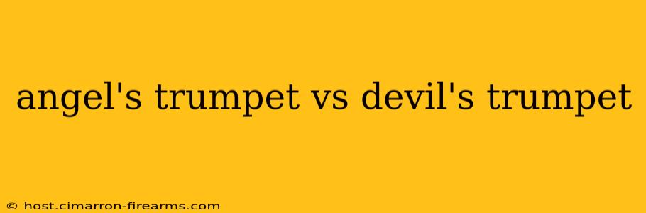 angel's trumpet vs devil's trumpet