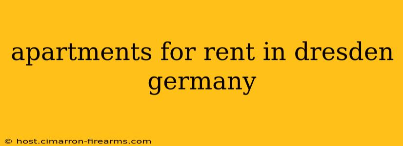 apartments for rent in dresden germany