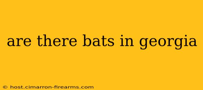 are there bats in georgia