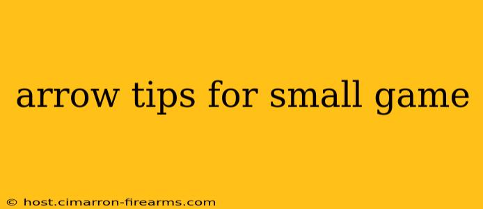 arrow tips for small game