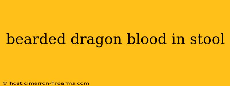 bearded dragon blood in stool