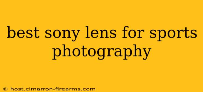 best sony lens for sports photography