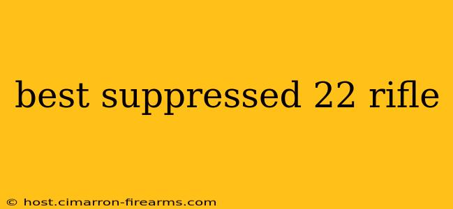 best suppressed 22 rifle