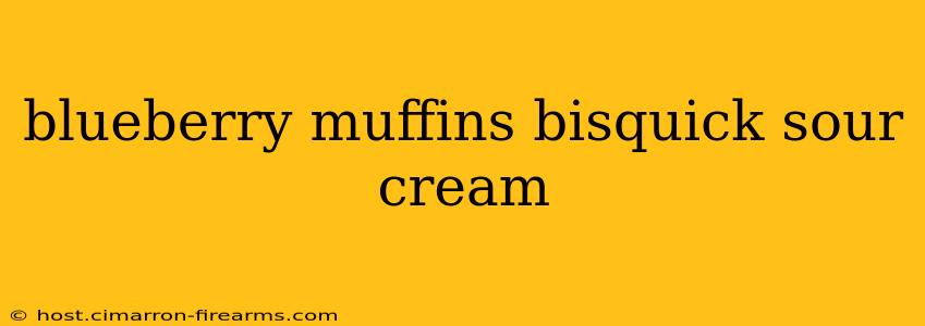 blueberry muffins bisquick sour cream