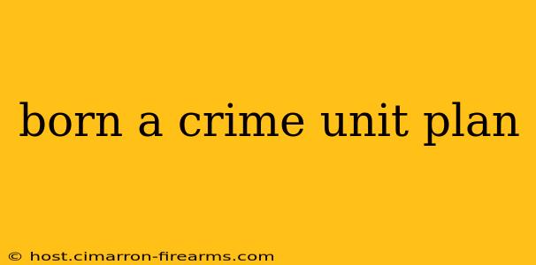 born a crime unit plan