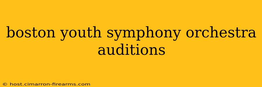 boston youth symphony orchestra auditions