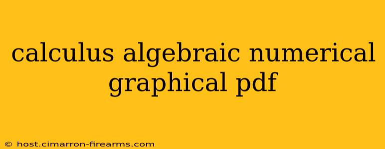 calculus algebraic numerical graphical pdf