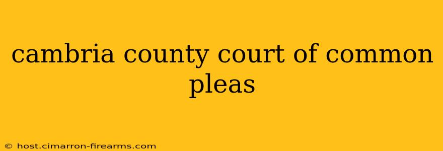 cambria county court of common pleas