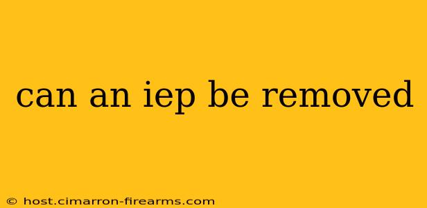 can an iep be removed