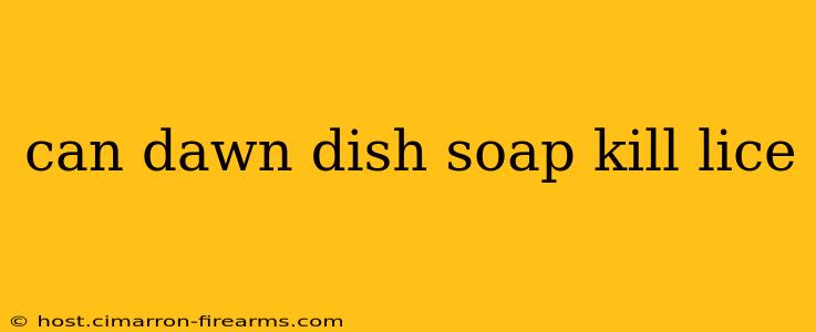 can dawn dish soap kill lice