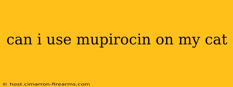 can i use mupirocin on my cat