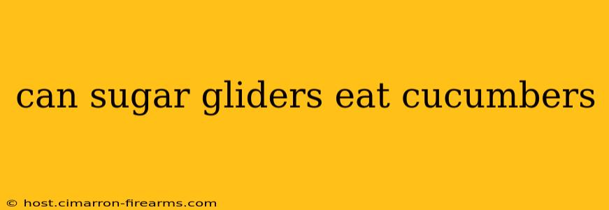 can sugar gliders eat cucumbers