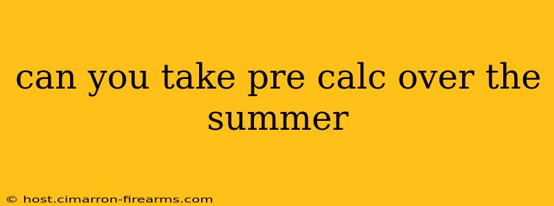 can you take pre calc over the summer