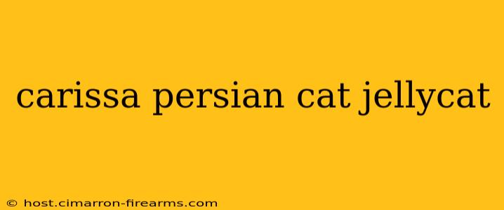 carissa persian cat jellycat