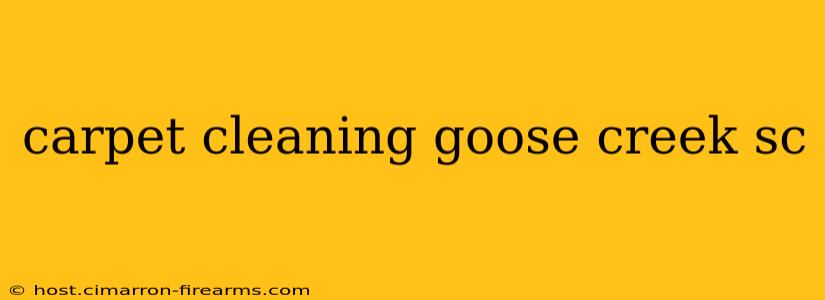 carpet cleaning goose creek sc