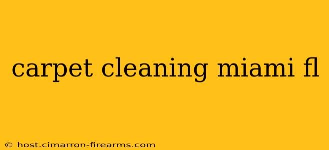 carpet cleaning miami fl