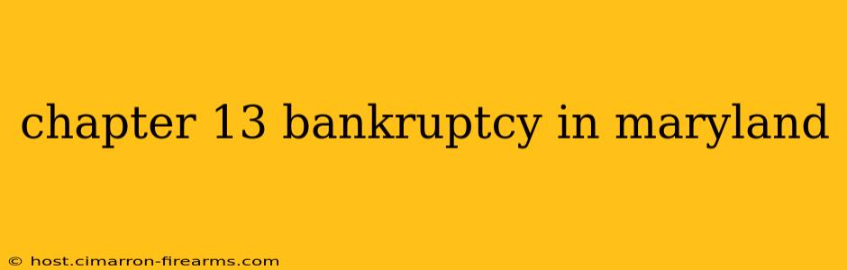 chapter 13 bankruptcy in maryland