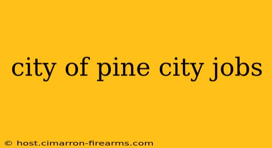 city of pine city jobs