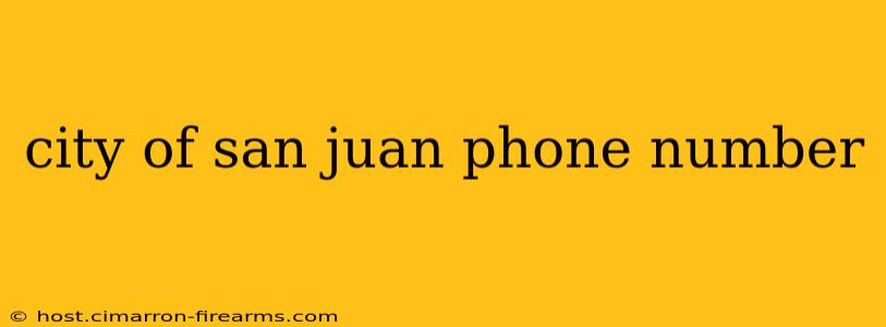 city of san juan phone number