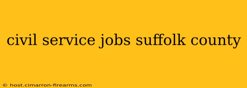 civil service jobs suffolk county