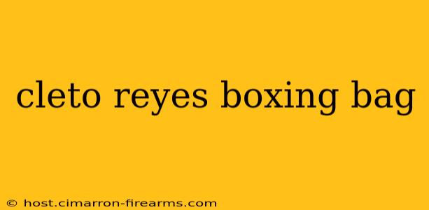 cleto reyes boxing bag