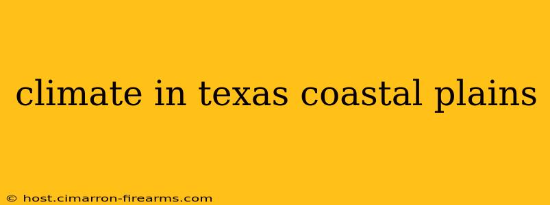 climate in texas coastal plains