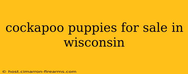 cockapoo puppies for sale in wisconsin