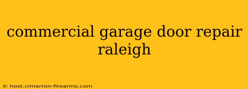 commercial garage door repair raleigh