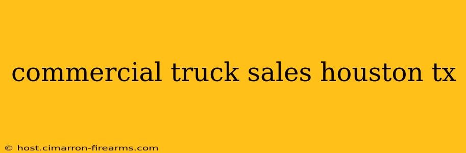 commercial truck sales houston tx