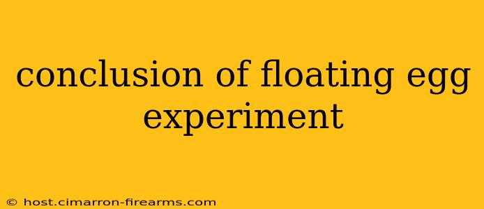 conclusion of floating egg experiment