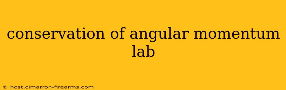 conservation of angular momentum lab