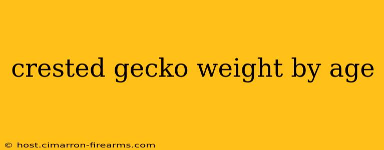 crested gecko weight by age