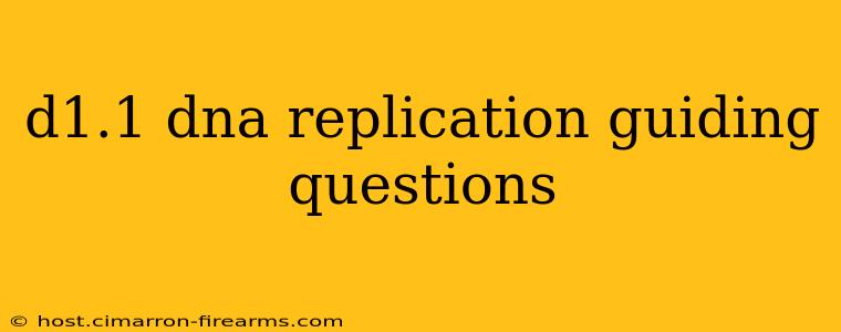 d1.1 dna replication guiding questions