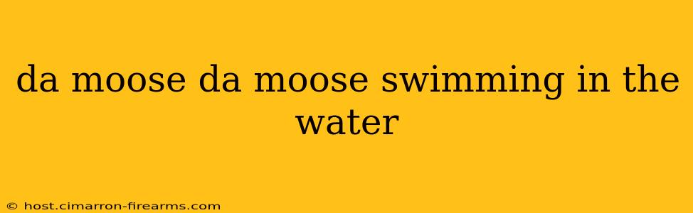 da moose da moose swimming in the water