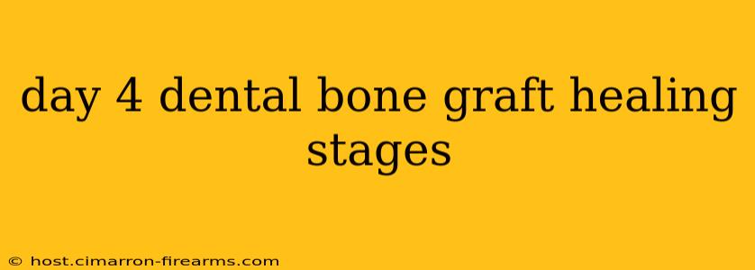 day 4 dental bone graft healing stages