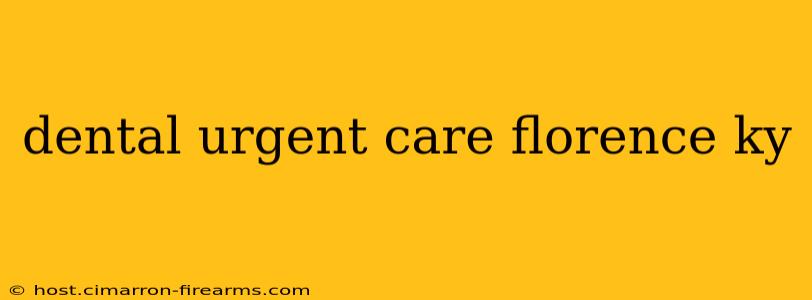 dental urgent care florence ky