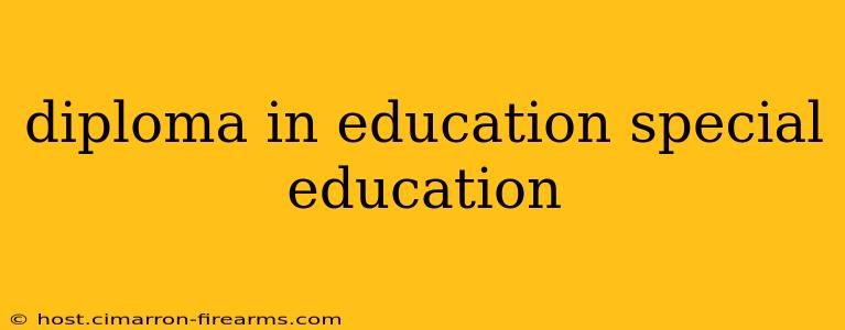 diploma in education special education