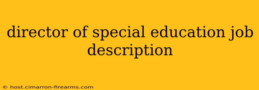 director of special education job description