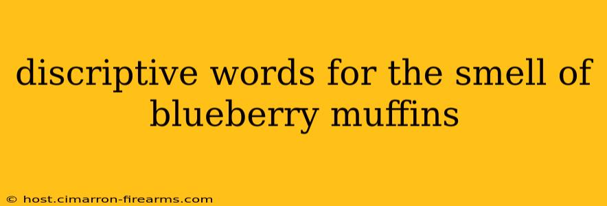 discriptive words for the smell of blueberry muffins