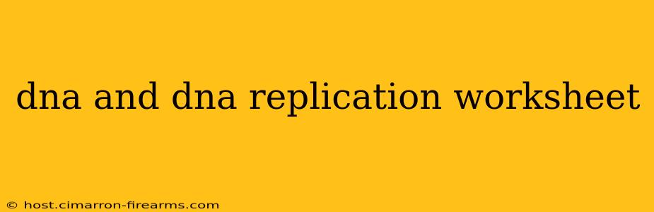 dna and dna replication worksheet