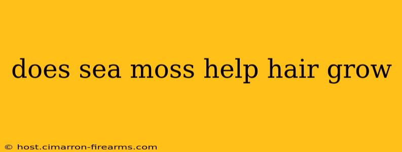 does sea moss help hair grow